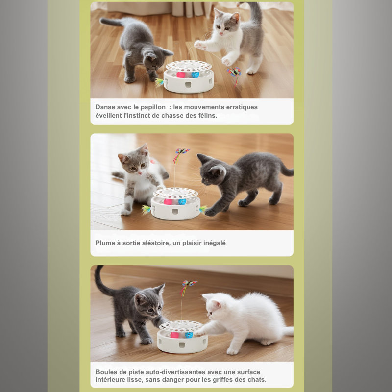 Jouet automatique 3 en 1 pour chat