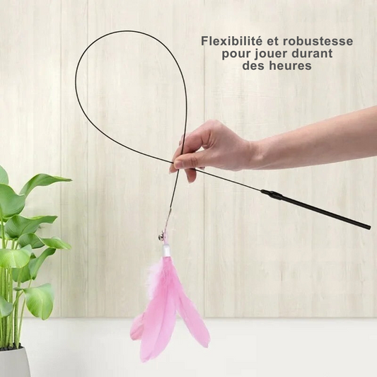 Jouet canne plume d'oiseau