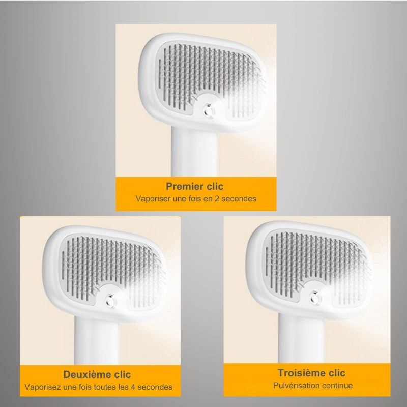 Brosse à Vapeur Électrique pour chat