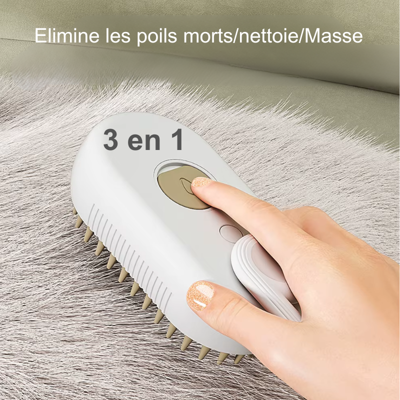 Brosse à vapeur électrique 3 en 1 pour chat