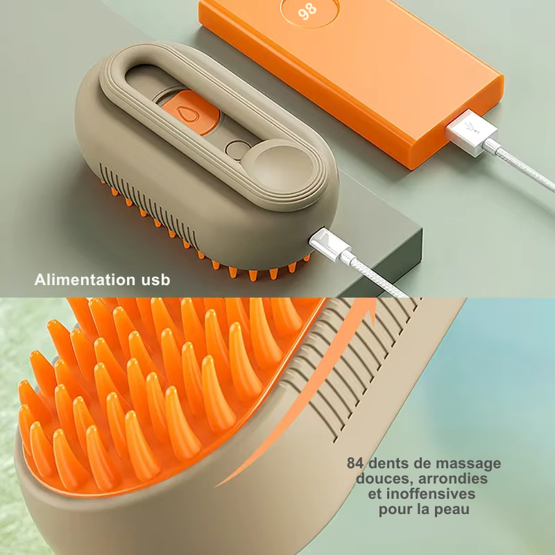 Brosse à vapeur électrique 3 en 1 pour chat
