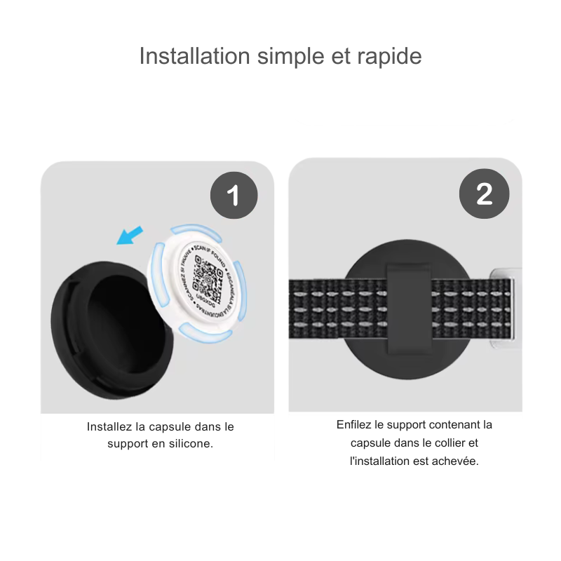 Collier d'identification pour chat avec QR code