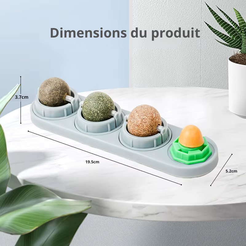 Jouet mural rotatif à herbe à chat – 4 saveurs naturelles