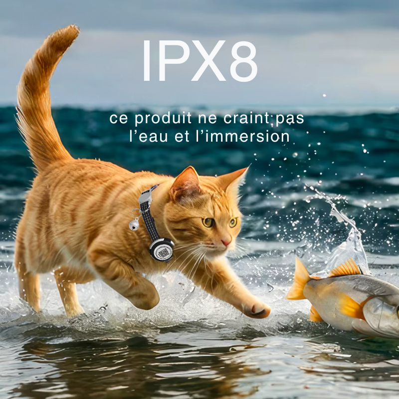 Collier d'identification pour chat avec QR code