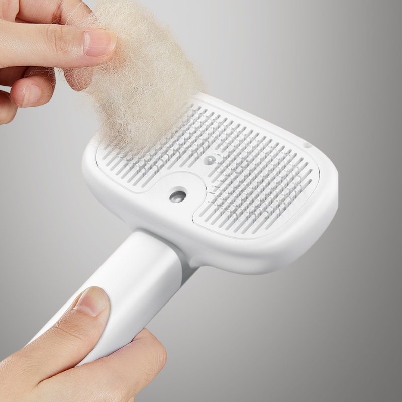 Brosse à Vapeur Électrique pour chat