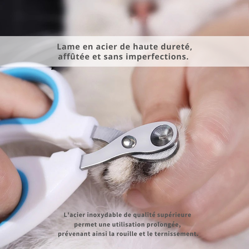 Coupe griffe professionnel en acier inoxydable pour chat