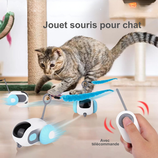 Voiture jouet interactif avec télécommande