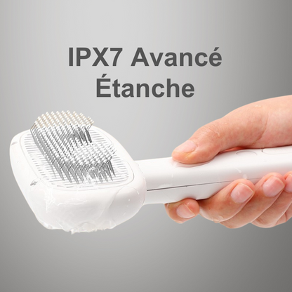 Brosse à Vapeur Électrique pour chat