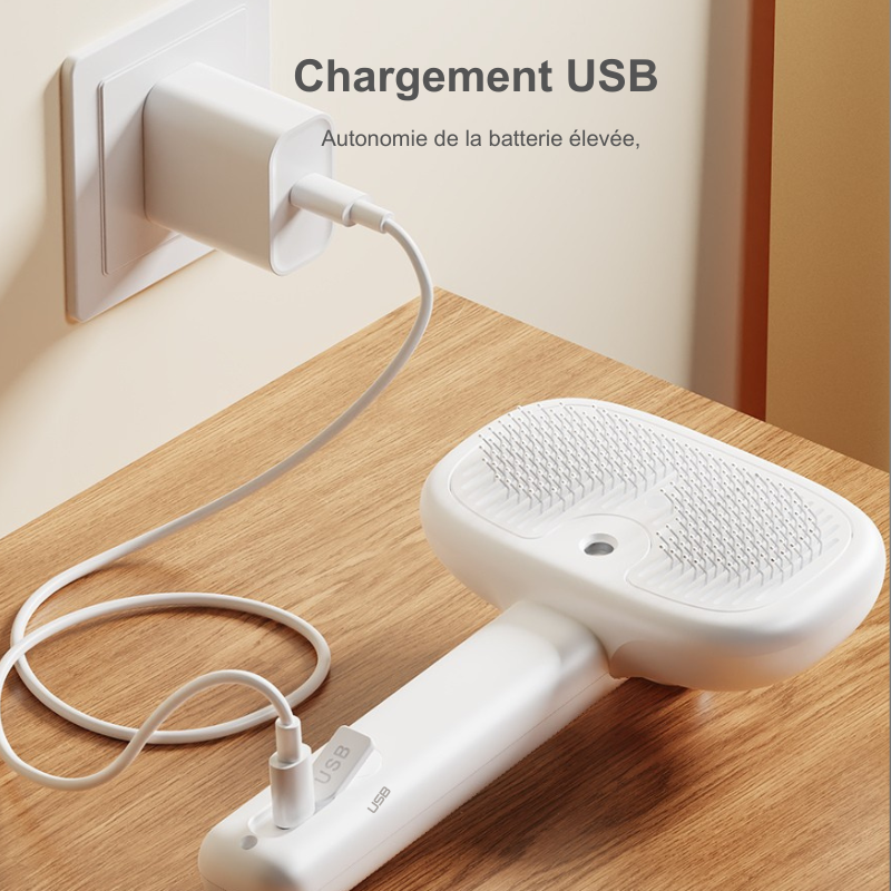 Brosse à Vapeur Électrique pour chat