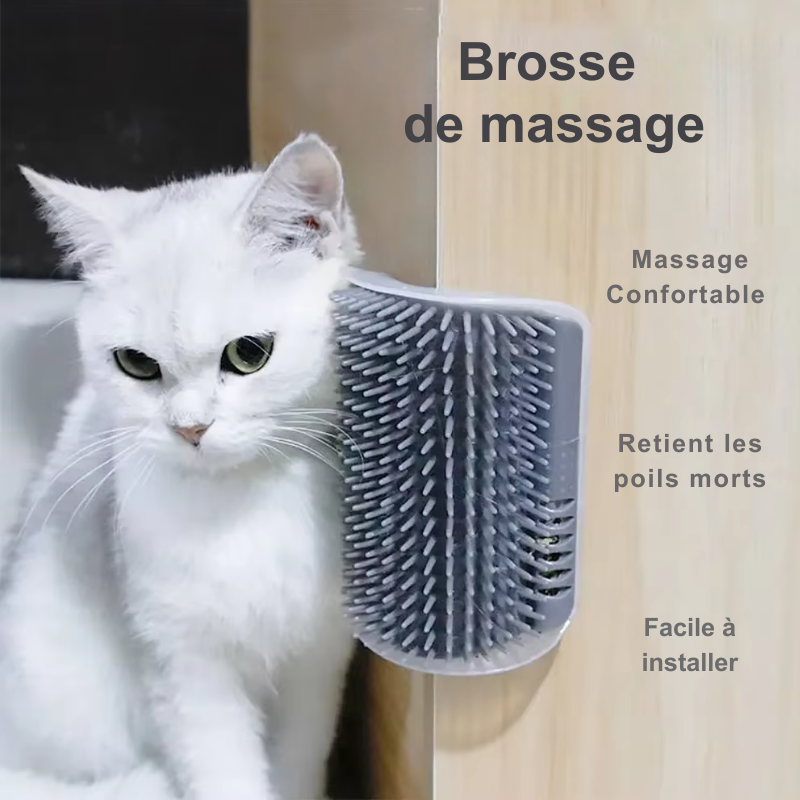Brosse de massage murale pour chat