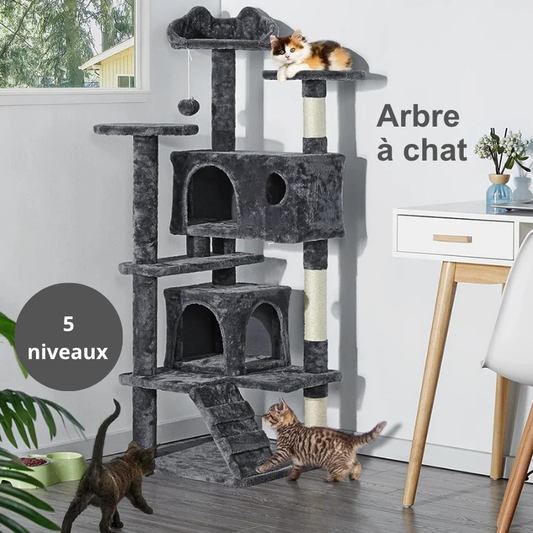 Arbre à chat 5 niveaux