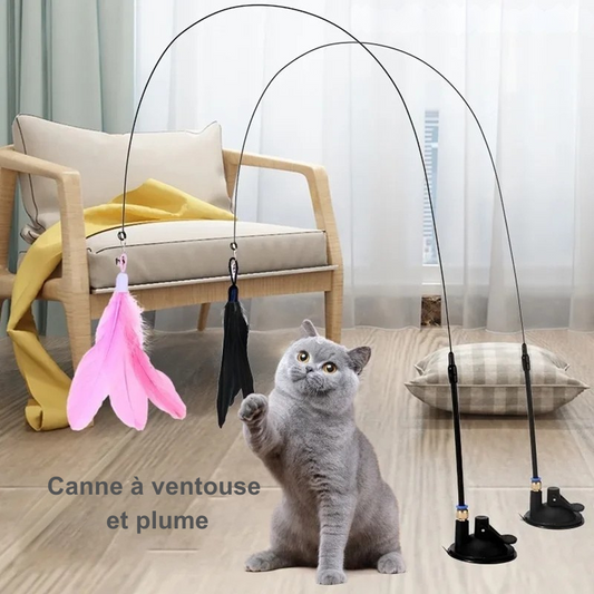 Jouet canne plume d'oiseau