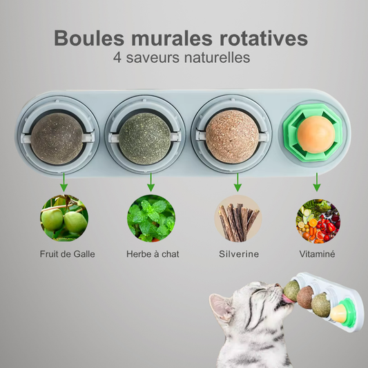 Jouet mural rotatif à herbe à chat – 4 saveurs naturelles