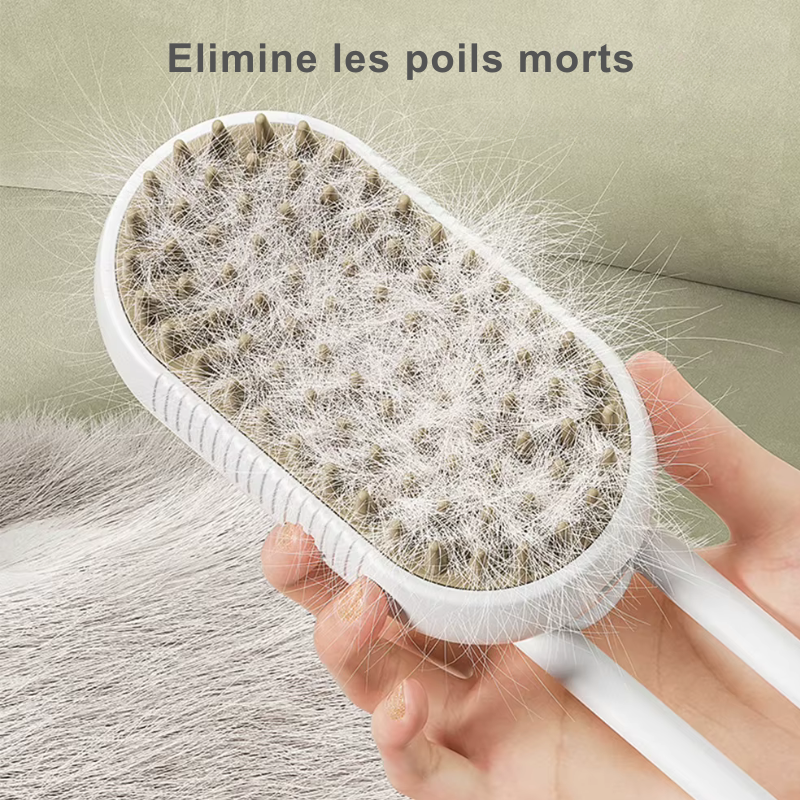 Brosse à vapeur électrique 3 en 1 pour chat