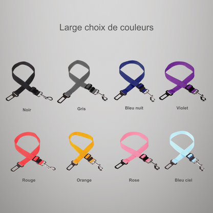 Ceinture de sécurité de voiture réglable pour chat