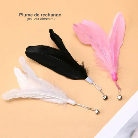 Plume de rechange canne plume d'oiseau