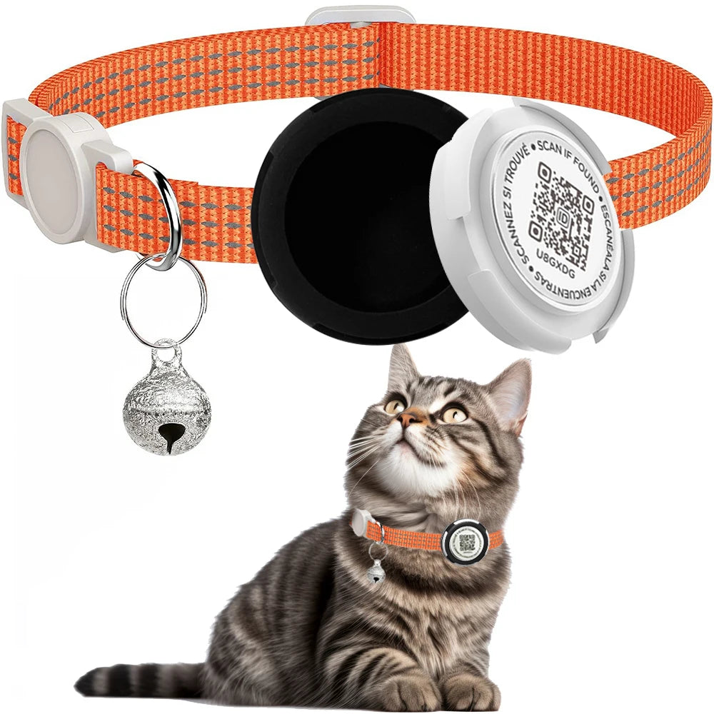Collier d'identification pour chat avec QR code