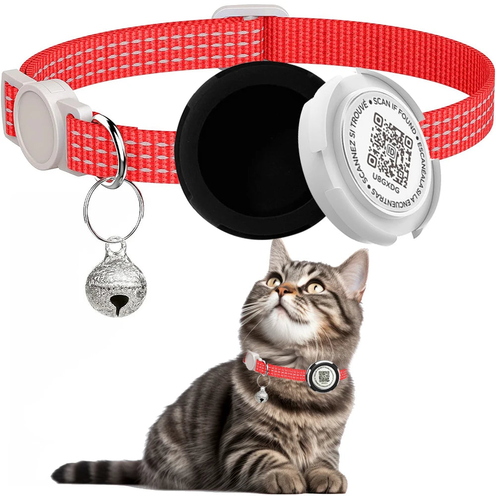 Collier d'identification pour chat avec QR code