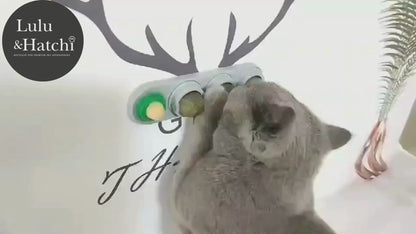 Jouet mural rotatif à herbe à chat – 4 saveurs naturelles